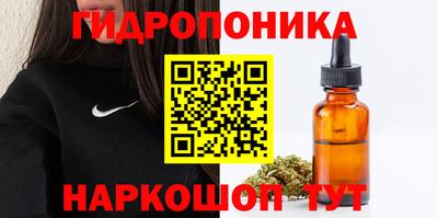мдма Сланцы