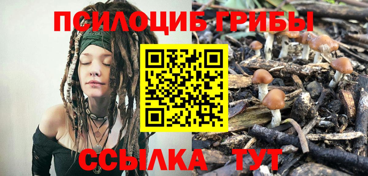 Галлюциногенные грибы мухоморы Балтийск